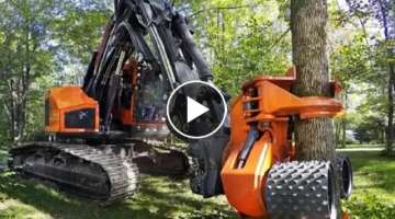 machine Dangerous Skills Fastest Tree Felling, Heavy Biggest Tree Cutting Down Chainsaw Machines