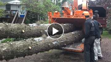Dangerous Monster Wood Chipper Machines Working, Fastest Tree Shredder Destroy Big Tree Equipment