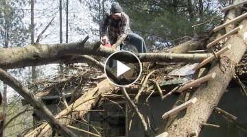 DANGEROUS TREE REMOVAL ......... storm damage trees on a cabin roof