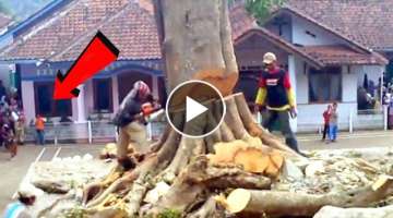 Extremely Dangerous Tree Cutting Fails With Chainsaw ! Idiots Tree Falling Skills Compilation