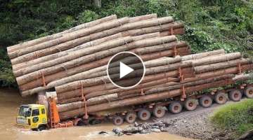 10 Extreme Dangerous Big Logging Wood Truck Driving Skill Heavy Equipment Loading Climbing Workin...