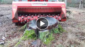 Dangerous Biggest Stump Mulcher Machines Working - Fastest Cutting & Processing Tree Heavy Equipm...