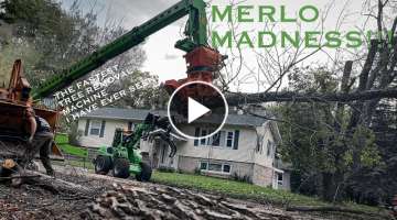 Merlo MADNESS!!! The FASTEST tree removal I have ever seen in my life. Last job with Reon Rounds.